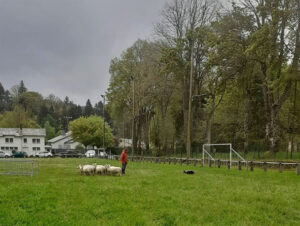 demo Salvetat sur gout